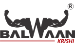 Balwaan