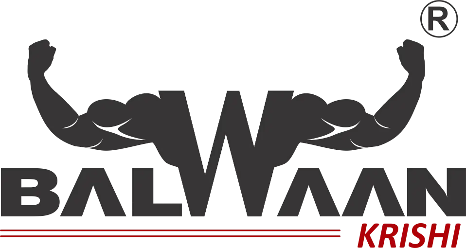 Balwaan