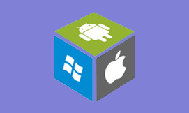 Flutter Developer