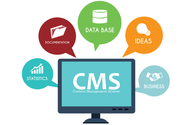 CMS Development